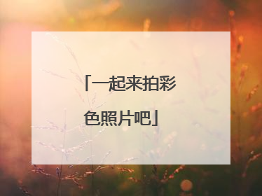 一起来拍彩色照片吧