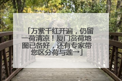 万紫千红开遍，仍留一荷清凉！厦门赏荷地图已备好，还有专家带您区分荷与莲→