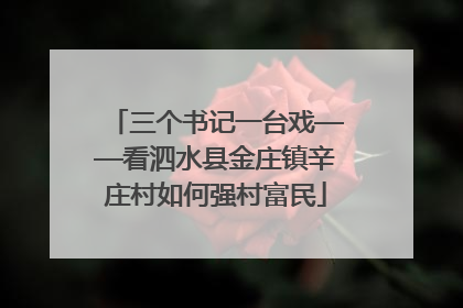 三个书记一台戏——看泗水县金庄镇辛庄村如何强村富民