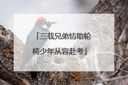 三载兄弟情助轮椅少年从容赴考