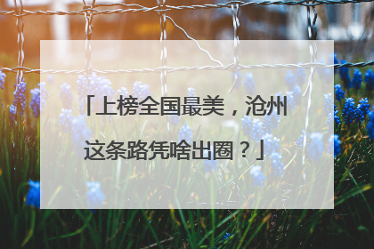 上榜全国最美，沧州这条路凭啥出圈？