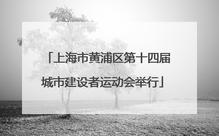 上海市黄浦区第十四届城市建设者运动会举行