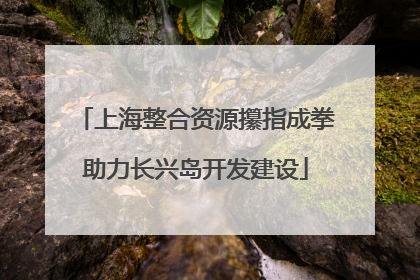 上海整合资源攥指成拳助力长兴岛开发建设