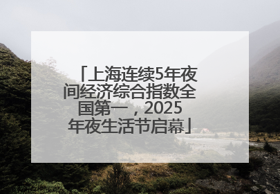 上海连续5年夜间经济综合指数全国第一，2025年夜生活节启幕