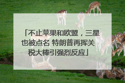 不止苹果和欧盟，三星也被点名 特朗普再挥关税大棒引强烈反应