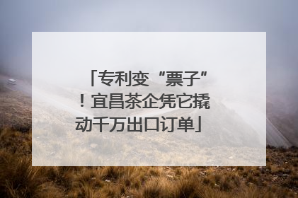 专利变“票子”！宜昌茶企凭它撬动千万出口订单