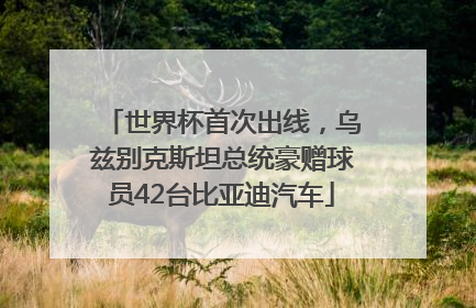 世界杯首次出线，乌兹别克斯坦总统豪赠球员42台比亚迪汽车