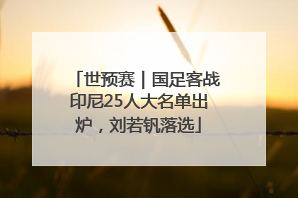 世预赛｜国足客战印尼25人大名单出炉，刘若钒落选
