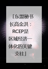 东盟秘书长高金洪：RCEP是区域经济一体化的关键支柱