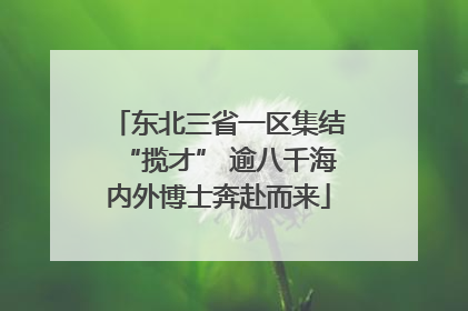 东北三省一区集结“揽才” 逾八千海内外博士奔赴而来