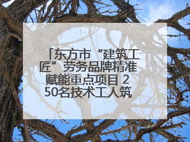 东方市“建筑工匠”劳务品牌精准赋能重点项目 250名技术工人筑牢建设基石