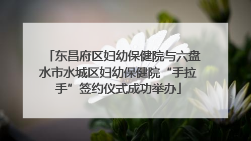 东昌府区妇幼保健院与六盘水市水城区妇幼保健院“手拉手”签约仪式成功举办