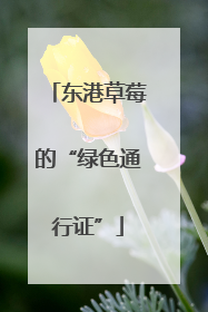东港草莓的“绿色通行证”