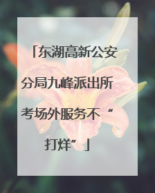 东湖高新公安分局九峰派出所考场外服务不“打烊”