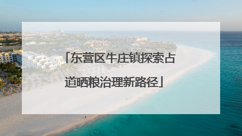 东营区牛庄镇探索占道晒粮治理新路径