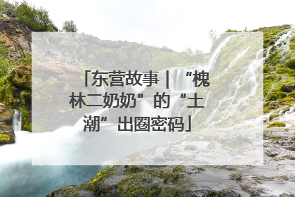 东营故事｜“槐林二奶奶”的“土潮”出圈密码