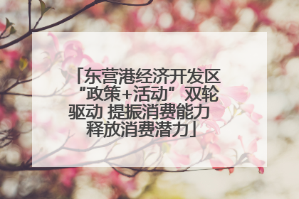 东营港经济开发区“政策+活动”双轮驱动 提振消费能力 释放消费潜力