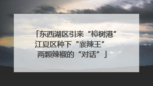 东西湖区引来“樟树港” 江夏区种下“襄辣王” 两颗辣椒的“对话”