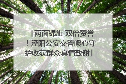 两面锦旗 双倍赞誉！泾阳公安交警暖心守护收获群众真情致谢