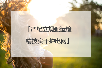 严纪立规强运检 精技实干护电网