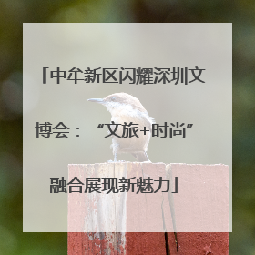 中牟新区闪耀深圳文博会：“文旅+时尚”融合展现新魅力