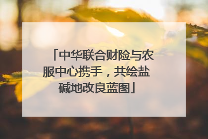 中华联合财险与农服中心携手，共绘盐碱地改良蓝图