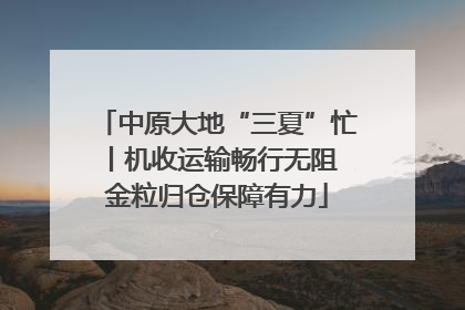 中原大地“三夏”忙丨机收运输畅行无阻 金粒归仓保障有力