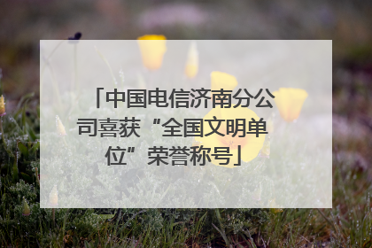 中国电信济南分公司喜获“全国文明单位”荣誉称号