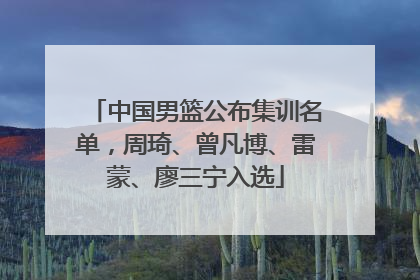 中国男篮公布集训名单，周琦、曾凡博、雷蒙、廖三宁入选