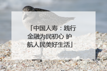 中国人寿：践行金融为民初心 护航人民美好生活