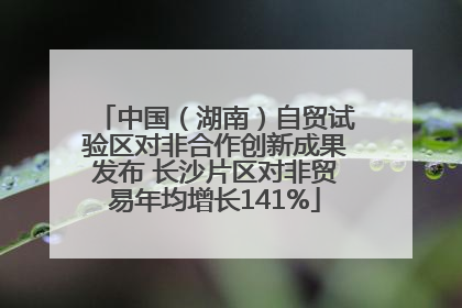 中国（湖南）自贸试验区对非合作创新成果发布 长沙片区对非贸易年均增长141%