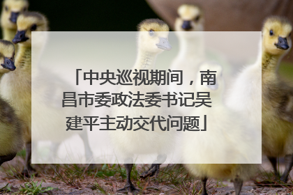 中央巡视期间，南昌市委政法委书记吴建平主动交代问题