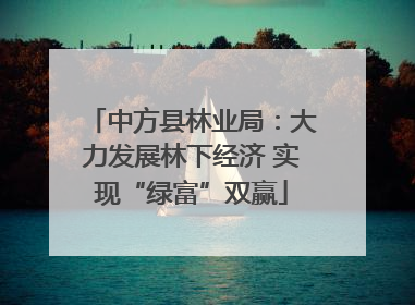 中方县林业局：大力发展林下经济 实现“绿富”双赢