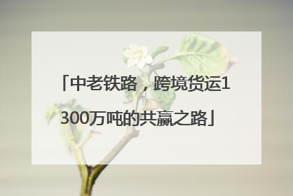 中老铁路，跨境货运1300万吨的共赢之路