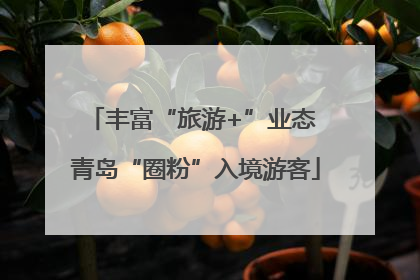丰富“旅游+”业态 青岛“圈粉”入境游客