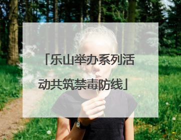 乐山举办系列活动共筑禁毒防线