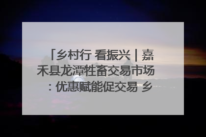 乡村行 看振兴｜嘉禾县龙潭牲畜交易市场：优惠赋能促交易 乡村振兴添动能