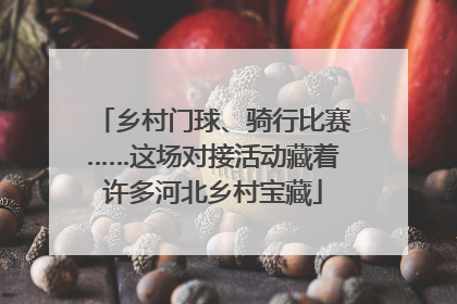 乡村门球、骑行比赛……这场对接活动藏着许多河北乡村宝藏