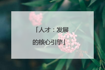 人才：发展的核心引擎