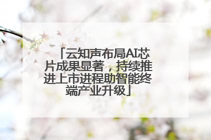 云知声布局AI芯片成果显著，持续推进上市进程助智能终端产业升级