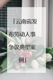 云南省发布劳动人事争议典型案例