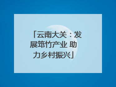 云南大关：发展筇竹产业 助力乡村振兴