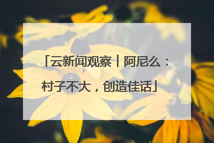 云新闻观察︱阿尼么：村子不大，创造佳话