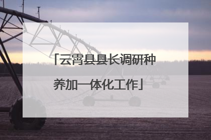云霄县县长调研种养加一体化工作