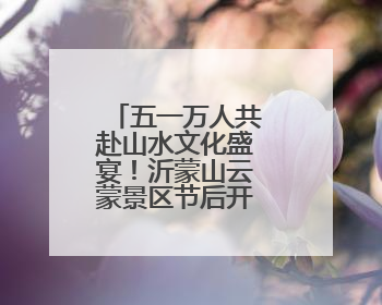 五一万人共赴山水文化盛宴！沂蒙山云蒙景区节后开启欢乐热潮