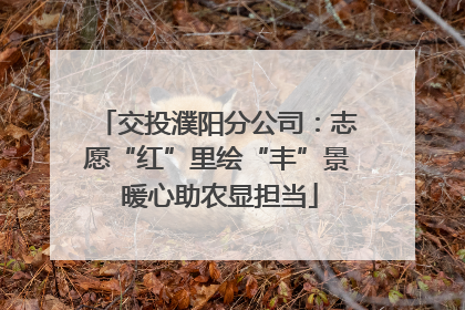 交投濮阳分公司：志愿“红”里绘“丰”景 暖心助农显担当