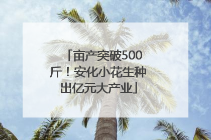 亩产突破500斤！安化小花生种出亿元大产业