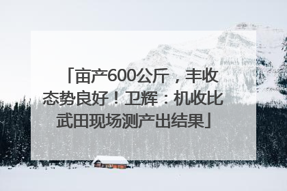 亩产600公斤，丰收态势良好！卫辉：机收比武田现场测产出结果
