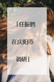 任振鹤在庆阳市调研