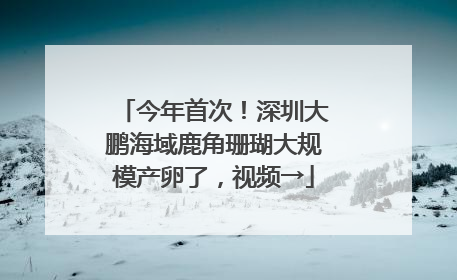 今年首次！深圳大鹏海域鹿角珊瑚大规模产卵了，视频→